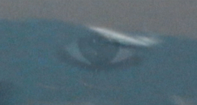 submarine still
